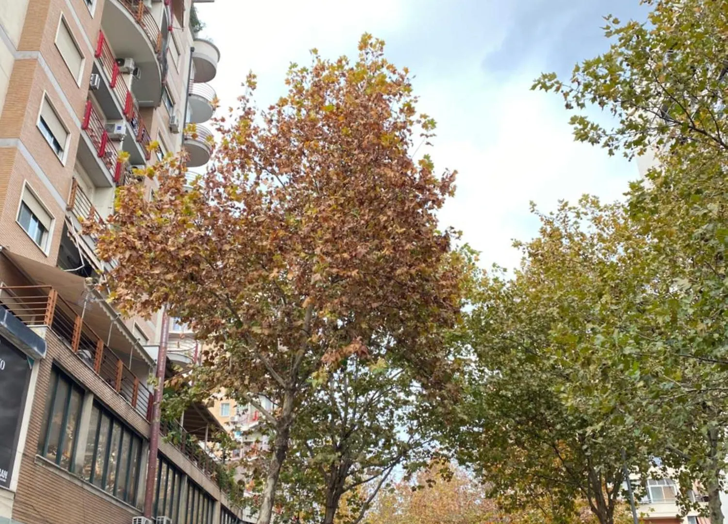 Maison D'Artiste Tirana 0*,  Albanie